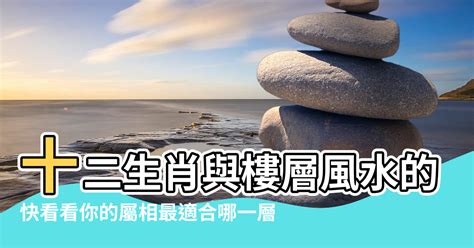 屬鼠方位|【風水鼠人的房子】屬鼠最佳住房樓層和風水方位 